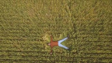 Buğday tarlasında yerde yatan bir adam. Üst Manzara. Hava aracı görünümü.