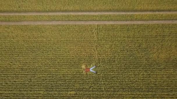 一个农夫躺在麦田里的地上 顶部视图 空中无人驾驶飞机视图 — 图库视频影像