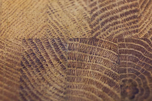 Rustic Brown Weathered Wood Grain Latar Belakang Pohon — Stok Foto