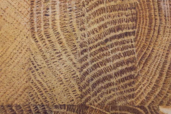 Kahverengi Meşe Ağacı Dokusu Soyut Arkaplan — Stok fotoğraf