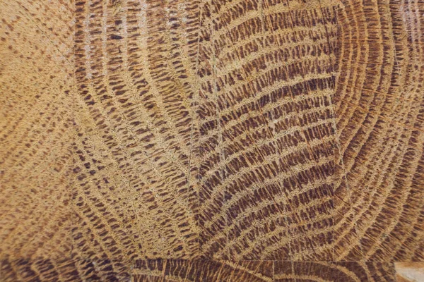 Textura Lemnului Stejar Brun Fundal Abstract fotografii de stoc fără drepturi de autor