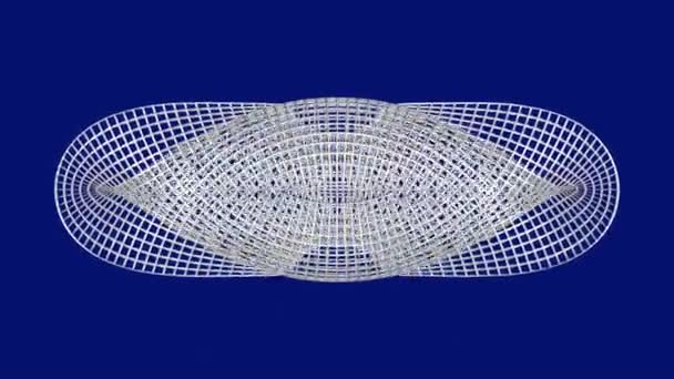 抽象的金属丝网变形为对称的形状改变了形状，达到了带子午线和平行线的球面形状，然后形状又恢复到原来的抽象形状。银网上 — 图库视频影像