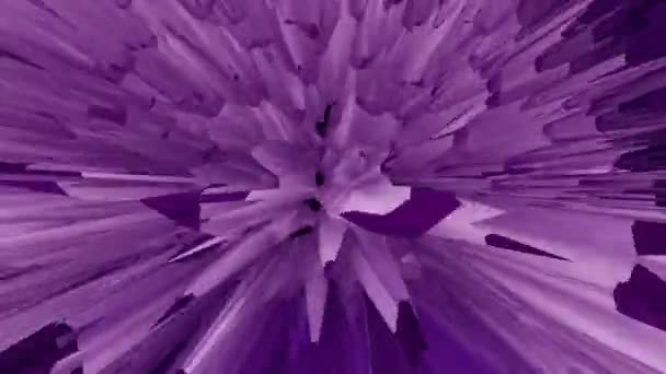 Flor fantástica de color púrpura borroso similar al crisantemo, los pétalos se mueven, flor viva. Gráfico de movimiento fantástico abstracto, ilusión 3d, — Vídeos de Stock