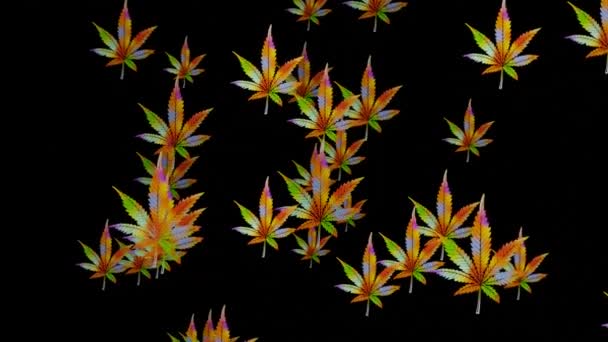 Flying leaves of cannabis in psychedelic bright colors on a black background. The leaves appear and disappear again. Seamless loop. — Stock video