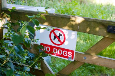 Tahta çitlerde ya da kapılarda köpek işareti yok.