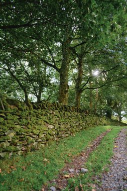 Eski kurumuş taş duvar.