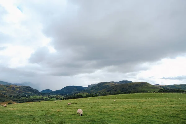 Montagnes Moutons Ferme Vue Sur Cumbria Angleterre Royaume Uni — Photo