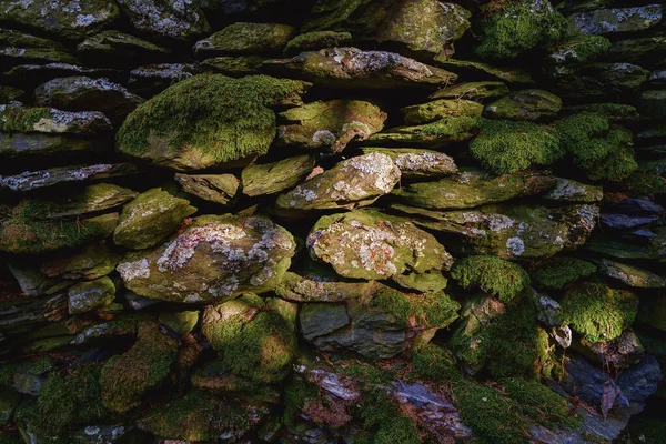 Old Overgrown Dry Stone Wall Close Royalty Free Stock Images