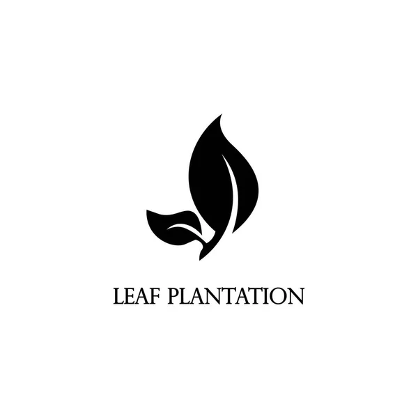 Leaf Symbol Plantation Logo Black Illustration Vector Design — Stock Vector