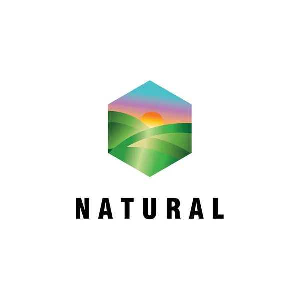 Natürliches Logo Sechseck Bunt Landschaft Illustration Vektor Design — Stockvektor