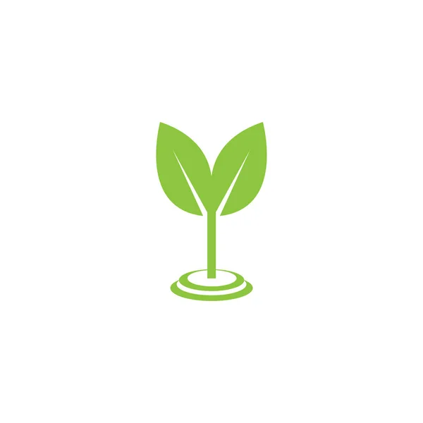 Herbal Drink Logo Illustration Glass Leaf Vector Design — Stock Vector