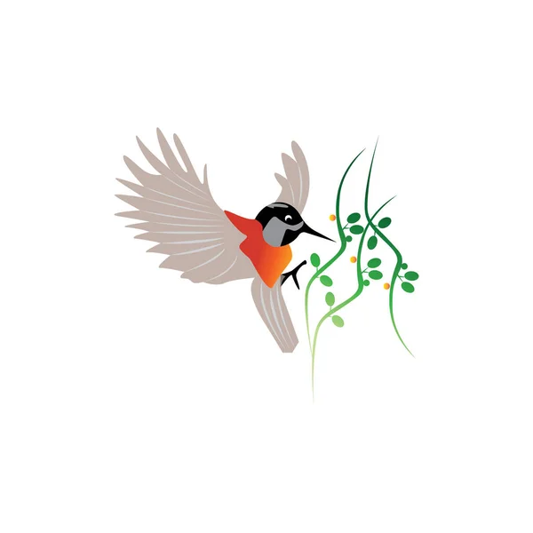 Kuş Illüstrasyon Logosu Tasarımı Clipart Vektör Renk Hayvanı — Stok Vektör