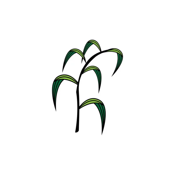 Ikona Drzewa Kukurydzy Ilustracja Natura Projekt Wektor — Wektor stockowy