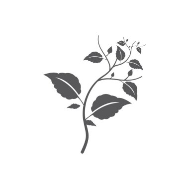 çiçek yaprağı ikonu tasarımı doğal vektör illüstrasyonu