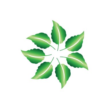 dairesel yaprak illüstrasyon renk ikonu tasarım vektörü