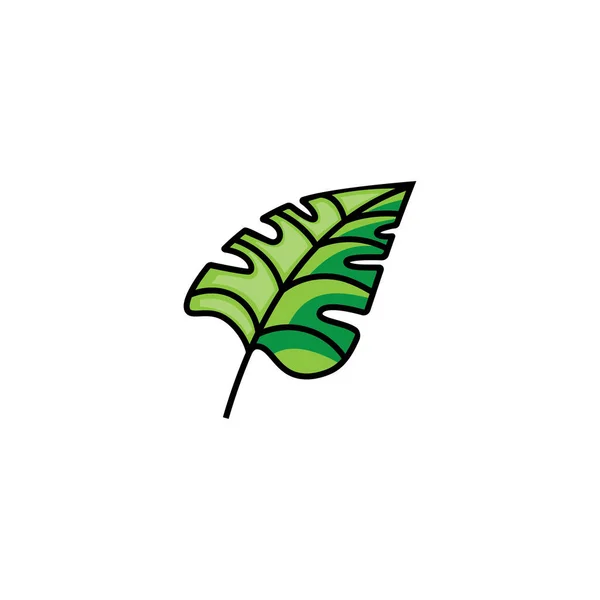 葉のアイコン自然イラストベクトルデザイン要素 — ストックベクタ