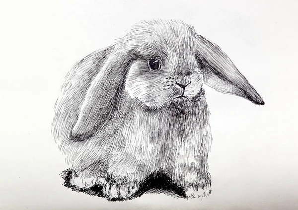 Lapin Illustration Dessin Détaillé Une Mignonne Icône Lapin Colère Pelucheuse — Photo