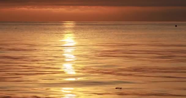 Pôr Sol Dourado Saturado Sobre Mar Sol Brilhante Que Olha — Vídeo de Stock