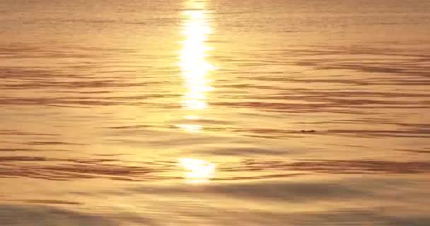 Κορεσμένο Χρυσό Ηλιοβασίλεμα Πάνω Από Θάλασσα Λαμπερός Ήλιος Αντανακλάται Στα — Αρχείο Βίντεο