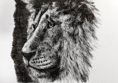 Resim - güzel, üzgün, düşünceli bir aslan. Aslan burnu resmi yan tarafında bir gemi tarafından çizilmiş..