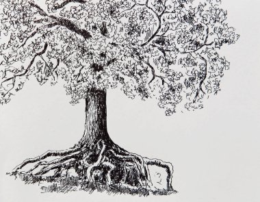 Resim- eski büyük ağaç. Dalları güçlü bir kök ve dalları olan bir ağaç çizimi, bir yolcu gemisi tarafından çizilmiş..