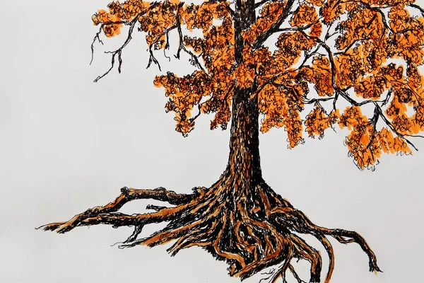 Ilustración Árbol Viejo Grande Con Las Ramas Amarillentas Dibujo Árbol — Foto de Stock