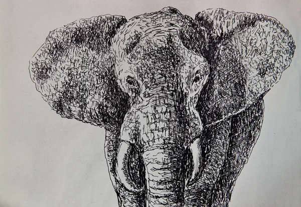 Elefante Africano Grande Ilustração Desenho Detalhado Elefante Solitário Desenhado Por — Fotografia de Stock