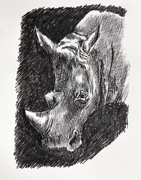 Illustration Portrait Rhino Dark Background Drawing Massive Rhino Big Horn — Stock Photo, Image