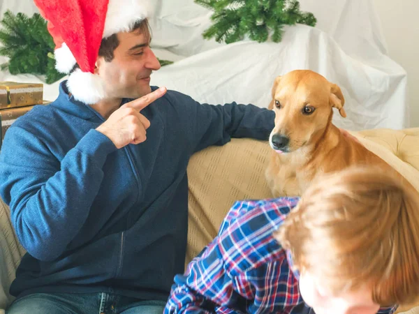 Папа и сын в шапках Санты и собаке на Рождество — стоковое фото
