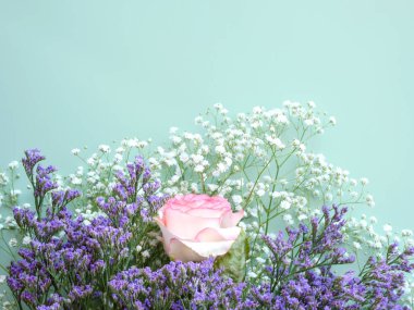 Pastel yeşil arka planda mor beyaz çiçekli pembe gül.