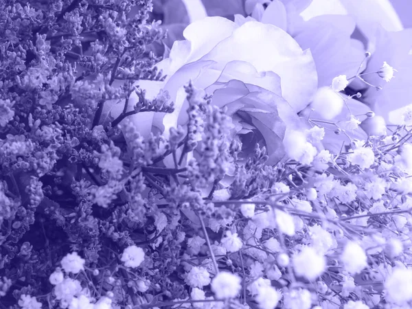 Purple tonificado hermoso ramo de primavera primer plano. Rosas, flores pequeñas — Foto de Stock