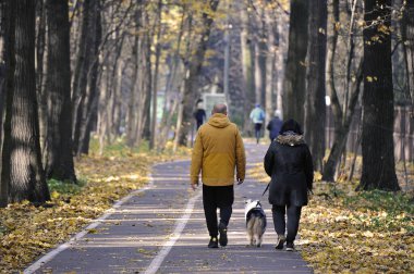 people walk through the autumn park with fallen leaves - autumn landscape
