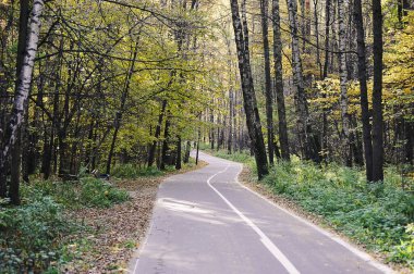 the path in the autumn park - autumn landscape