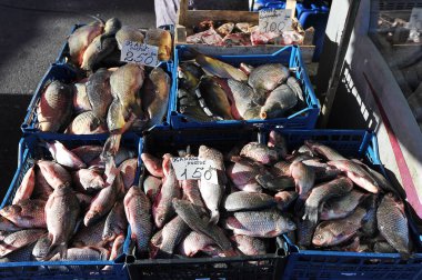 BRONNITSY, Russia - OCTOBER 9, 2021: a showcase of a fish stall on the market in Bronnitsy