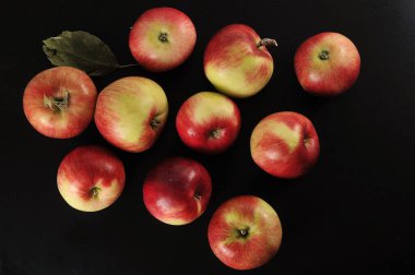 ripe red apples on a black background - autumn apple harvest
