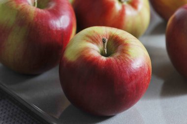 red ripe apples on a plate - autumn apple harvest