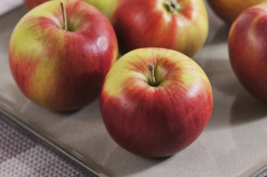 red ripe apples on a plate - autumn apple harvest