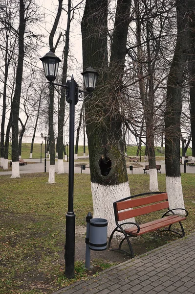 ウラジーミルの公園にある空洞の木とベンチ — ストック写真