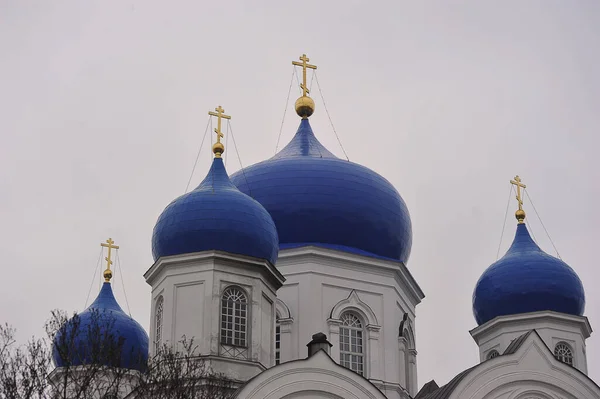 Vladimir Russia November 2021 Cathedral Bogolyubsky Monastery Bogolyubovo — Stok fotoğraf