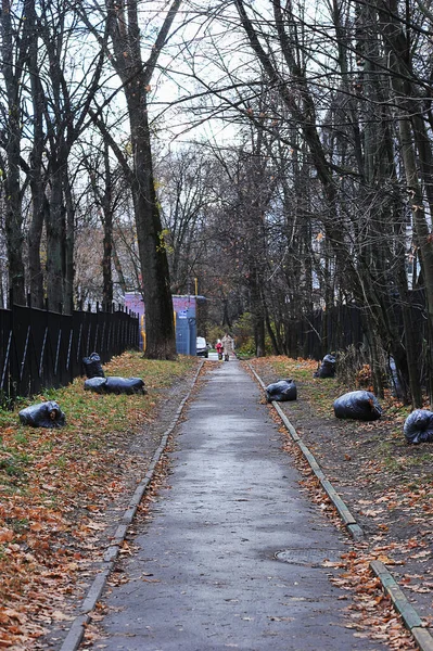 Fallen Leaves Black Bags Cleaning Territory Streets Moscow — Stockfoto
