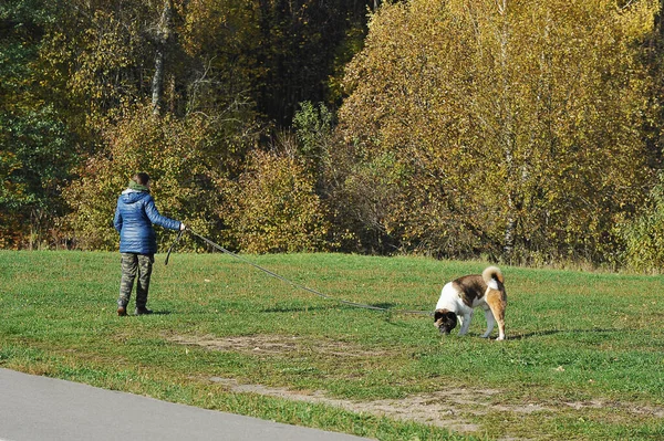 Woman Sports Jacket Walks Her Dog Park — Stock Photo, Image