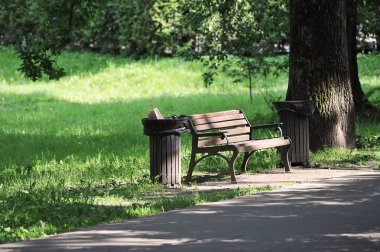 an empty bench and trash cans in the park under a tree