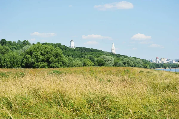 Wet Dry Meadows Make Rare Landscape Kolomenskoye Park Moscow — 图库照片