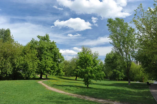 Landscape Green Park Blue Clouds Izmailovsky Island Moscow — Stok fotoğraf