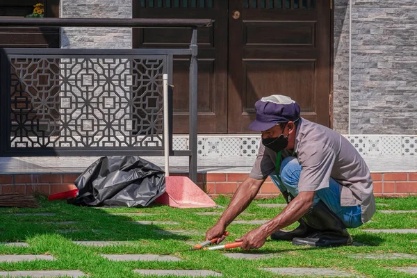 Asian Worker Trimming Grass Walkway Front Yard Area Office Building — Photo