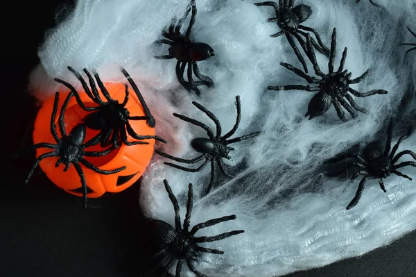 Vista Zenith Arañas Decoración Fiesta Halloween Sobre Fondo Negro — Foto de Stock