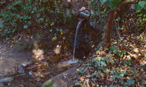 Wasserfall Wald — Stockfoto