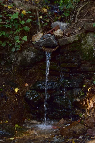 Wasserfall Wald Vertikale Aufnahme — Stockfoto