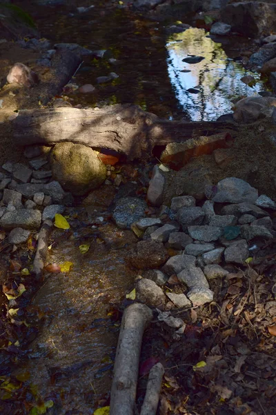 秋天森林里的溪流 — 图库照片