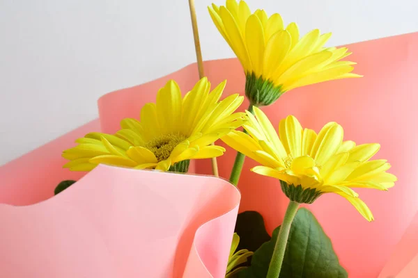 Bunga Kuning Dari Keluarga Aster Dengan Latar Belakang Cahaya — Stok Foto